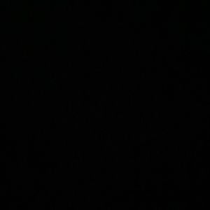 Meet your Posher, Priscilla